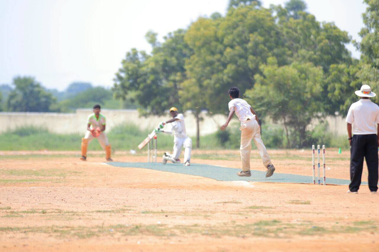 cricket1